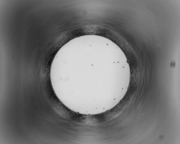 X0000102840601200809151105