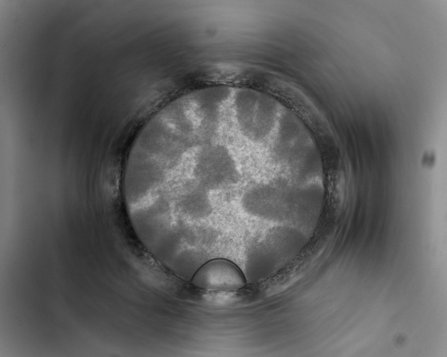 X0000102840602200809151105