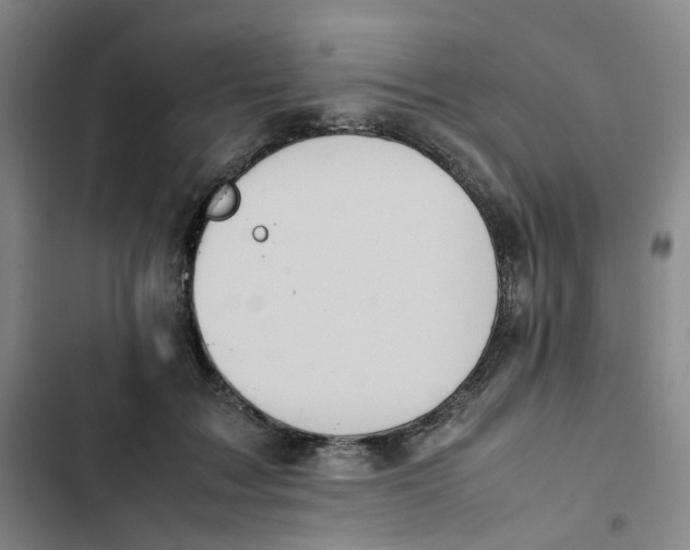 X0000102840603200809151105