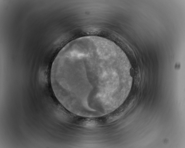 X0000102840604200809151105