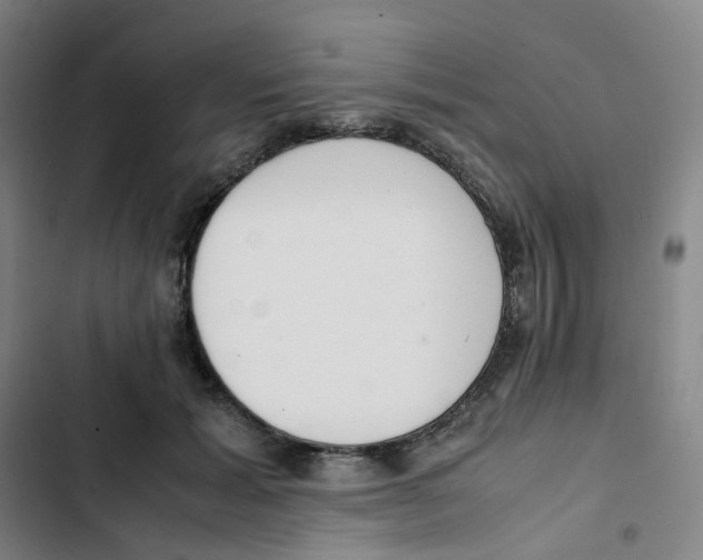 X0000102840605200809151105