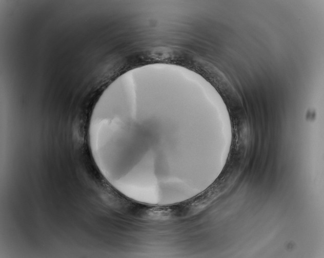 X0000102840606200809151105