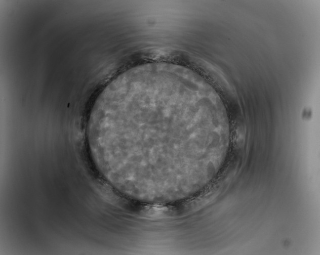 X0000102840607200809151105