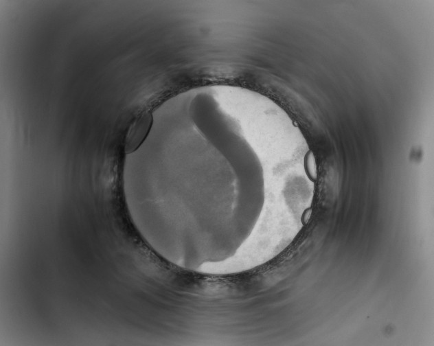 X0000102840608200809151105