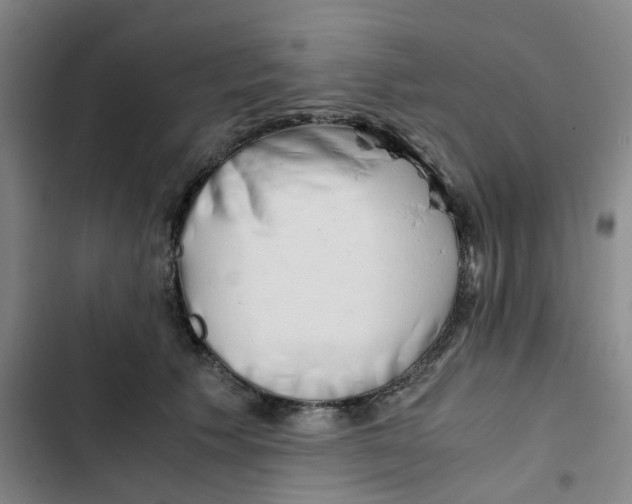 X0000102840609200809151105