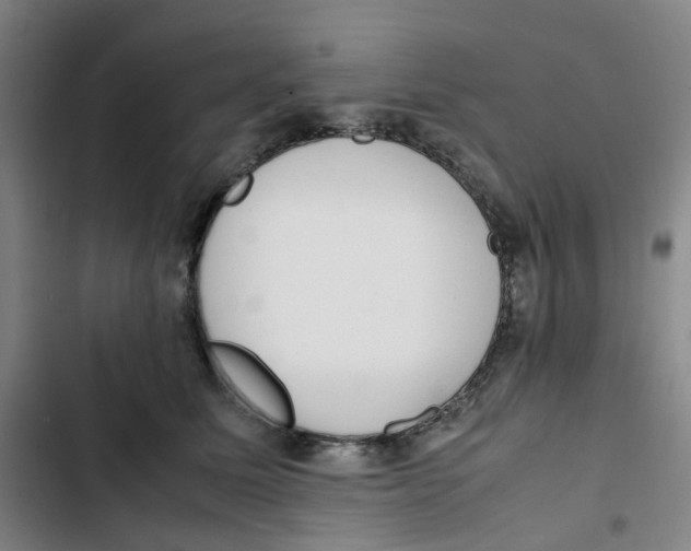 X0000102840611200809151105