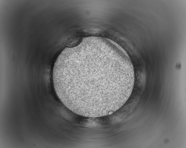 X0000102840612200809151105