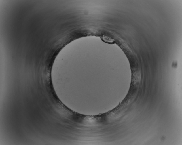 X0000102840613200809151105