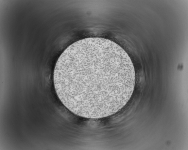 X0000102840615200809151105