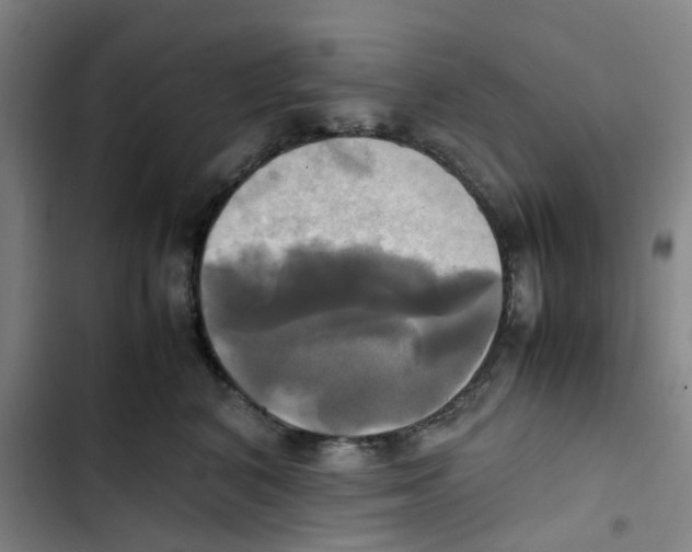 X0000102840616200809151105