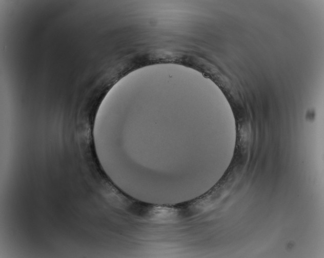 X0000102840617200809151105