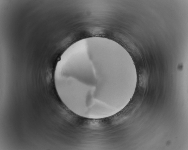 X0000102840618200809151105