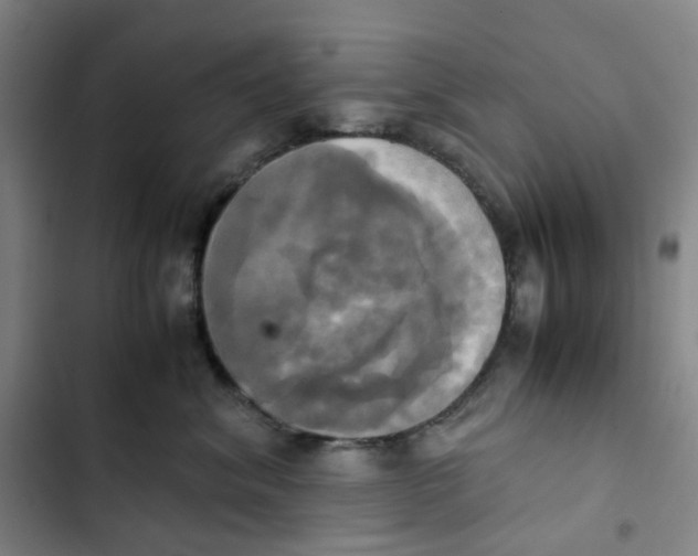 X0000102840620200809151105