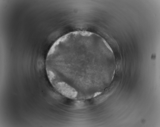 X0000102840623200809151105