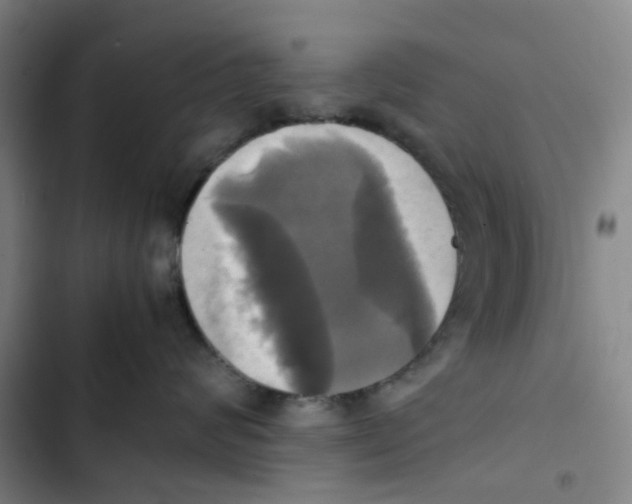 X0000102840624200809151105