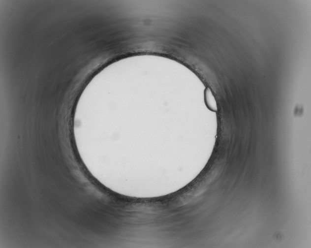 X0000102840625200809151104