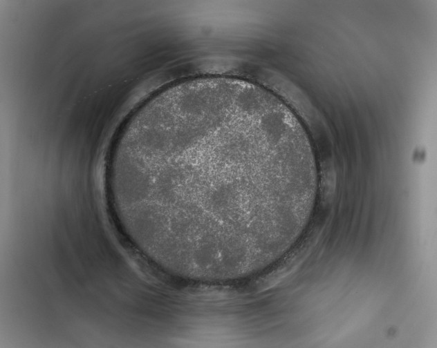 X0000102840626200809151104