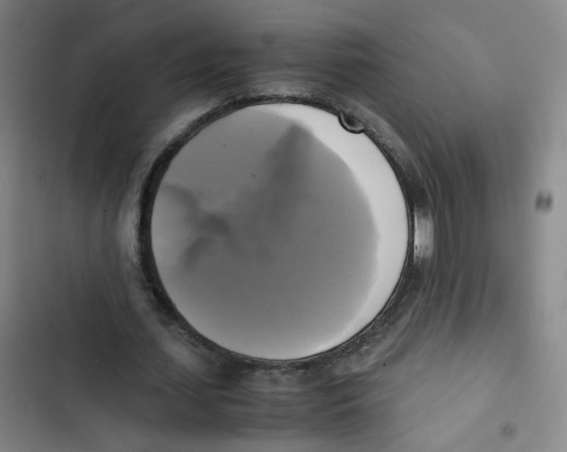 X0000102840627200809151104