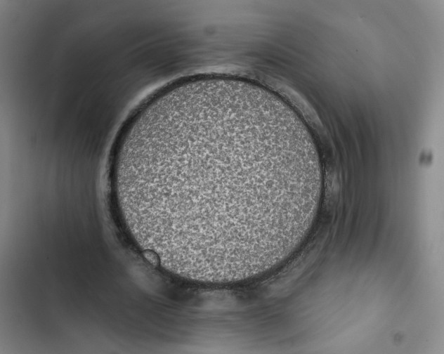 X0000102840628200809151105