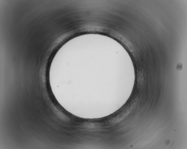 X0000102840629200809151105