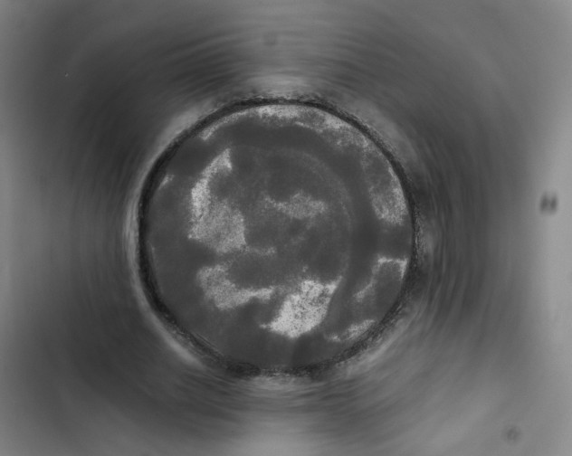 X0000102840630200809151105