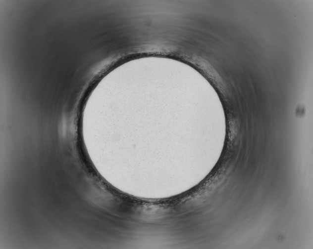 X0000102840632200809151105