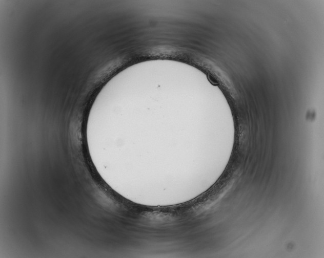 X0000102840633200809151105