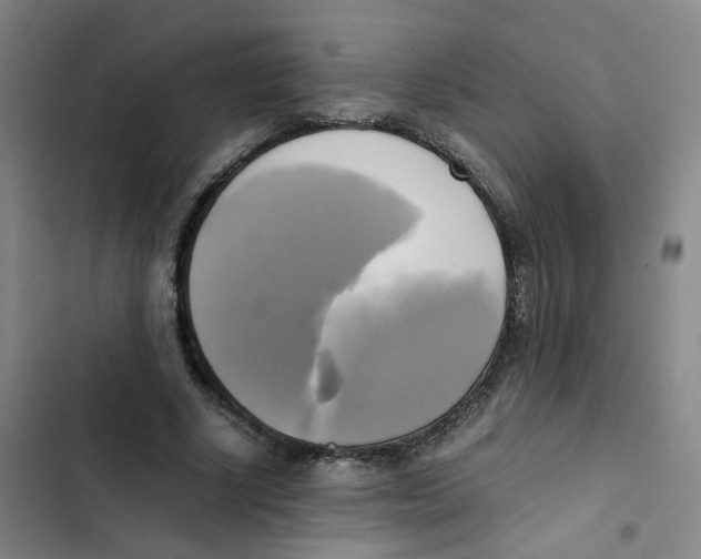 X0000102840634200809151105