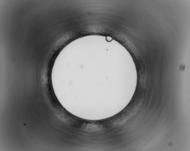 X0000102840635200809151105