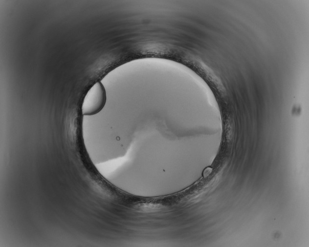 X0000102840637200809151105