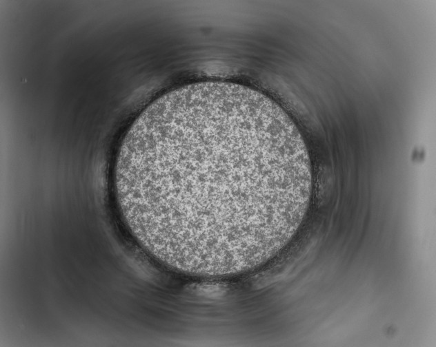 X0000102840639200809151105