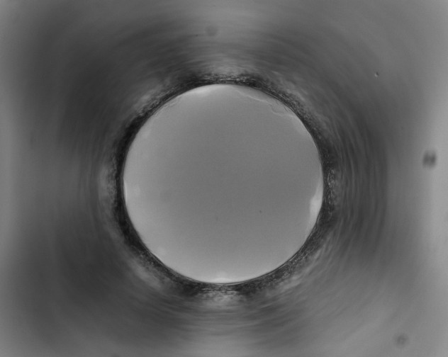 X0000102840642200809151105