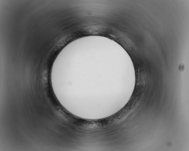 X0000102840646200809151105