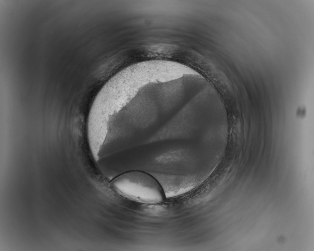 X0000102840649200809151105