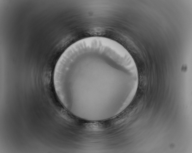 X0000102840652200809151105