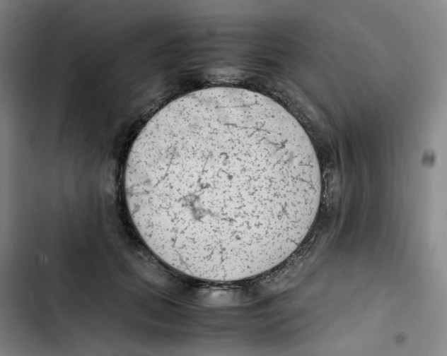 X0000102840655200809151105