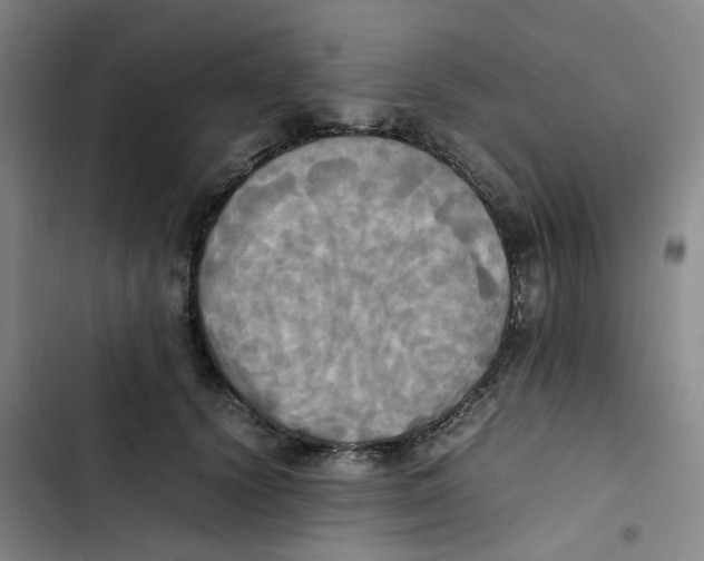 X0000102840656200809151105