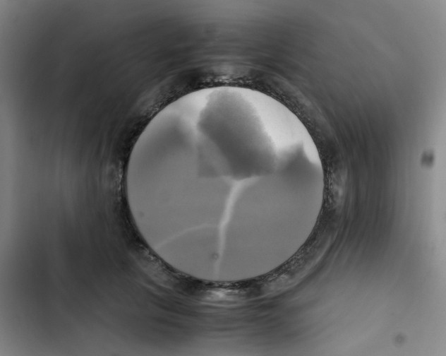 X0000102840657200809151105