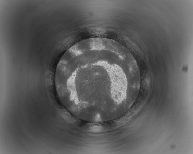 X0000102840658200809151105