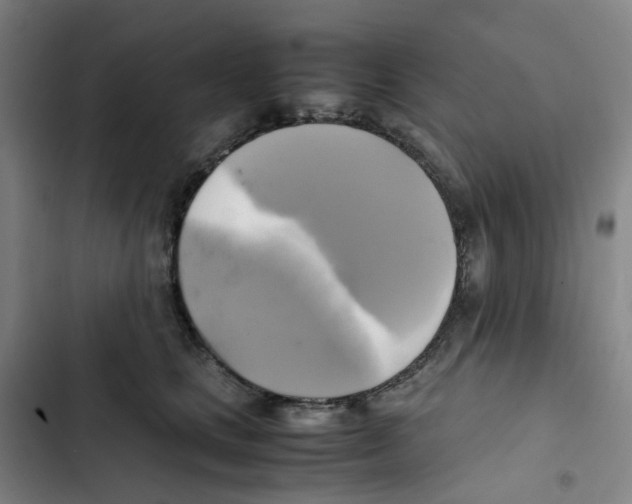 X0000102840661200809151105