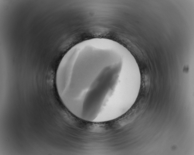 X0000102840664200809151105