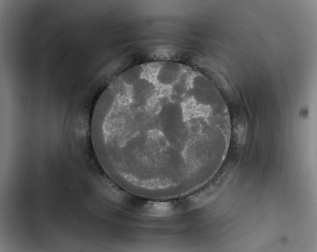 X0000102840665200809151105