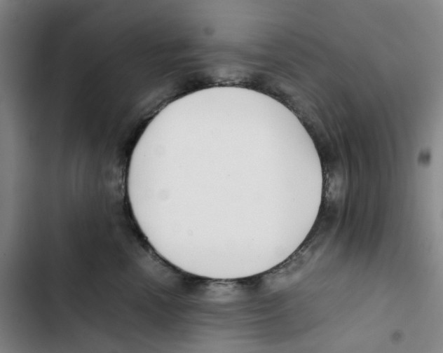 X0000102840666200809151105