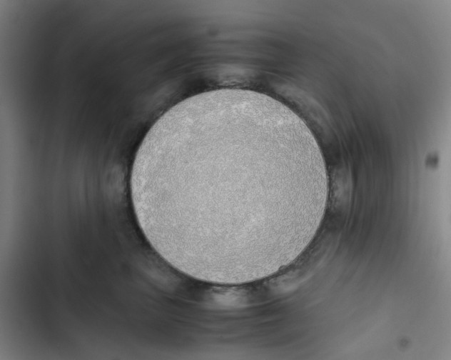 X0000102840667200809151105