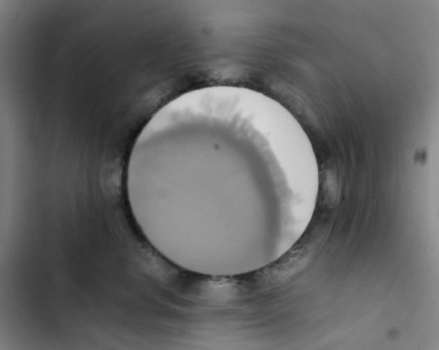 X0000102840668200809151105