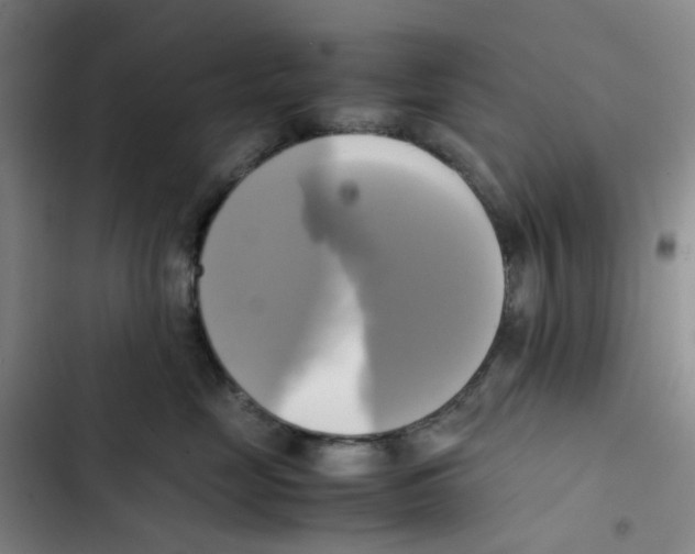 X0000102840669200809151105