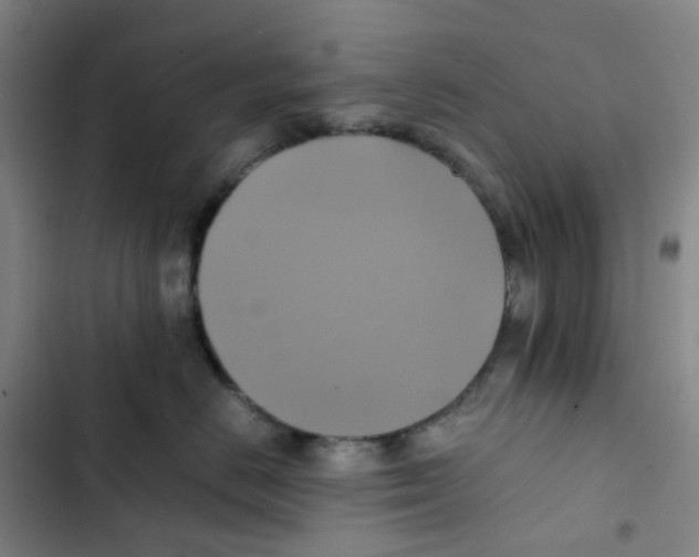 X0000102840670200809151105