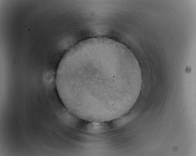 X0000102840672200809151105