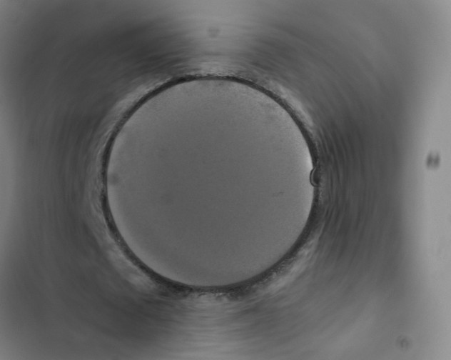 X0000102840673200809151104