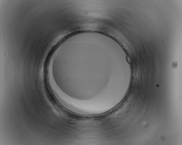 X0000102840674200809151104